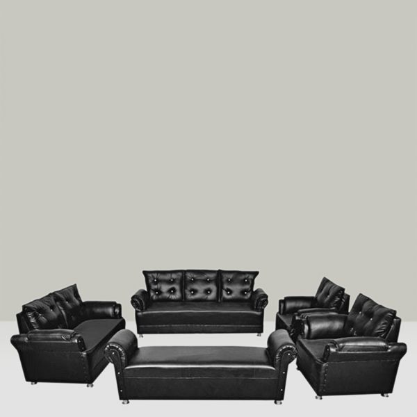 Rani 9 seater